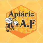 apiario-adriano-faria-mel-em-socorro-sp (3)