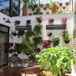 casa-alfredo-onde-dormir-hoteis-em-socorro-sp
