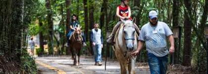 passeio-a-cavalo-campo-do-sonho-turismo-rural-passeio-a-cavalo-em-socorro-sp