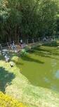 pesqueiro-2-irmaos-turismo-rural-pesqueiro-em-socorro-sp