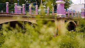 walking-tour-socorro-primeira-ponte-concreto-armado-são-paulo-em-socorro-sp